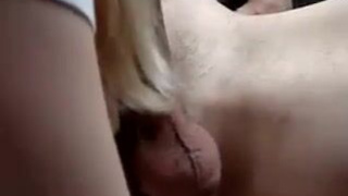 Жена сосёт - секс видео онлайн
