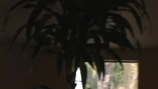 Растянутая жопа - секс видео онлайн