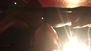 Толстушки - секс видео онлайн